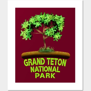 Grand Teton National Park Posters and Art